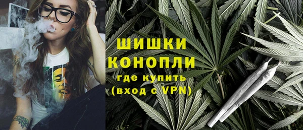 амф Бородино