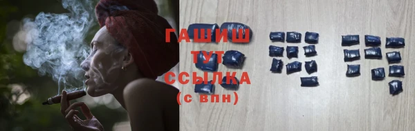 амф Бородино