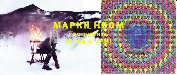 амф Бородино