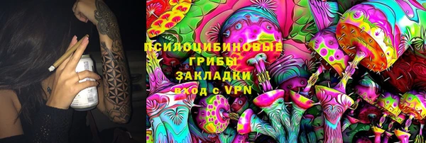 амф Бородино