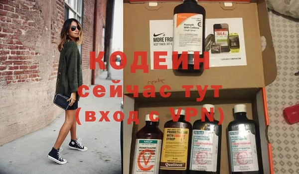 амф Бородино