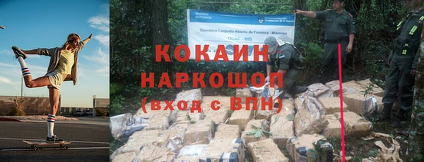 амф Бородино