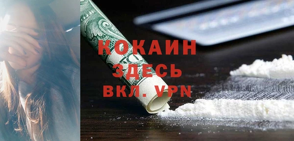 индика Богородск