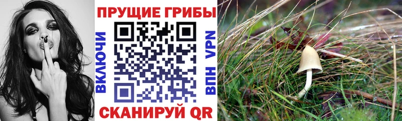 ОМГ ОМГ зеркало  Троицк  Галлюциногенные грибы мицелий  продажа наркотиков 